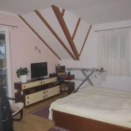 Plavi Krov بيت خشبي *